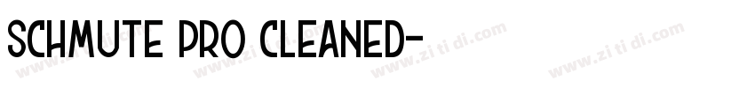 schmute pro cleaned字体转换